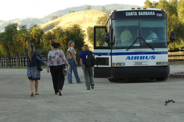 Santa Ynez Valley Arabian Breeders Celebration
