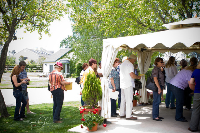 Santa Ynez Valley Arabian Breeders Celebration