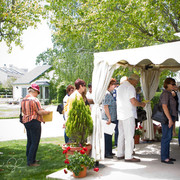 Santa Ynez Valley Arabian Breeders Celebration