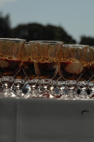 Santa Ynez Valley Arabian Breeders Celebration