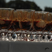 Santa Ynez Valley Arabian Breeders Celebration