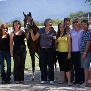 Santa Ynez Valley Arabian Breeders Celebration