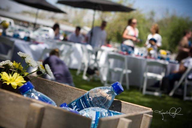 Santa Ynez Valley Arabian Breeders Celebration