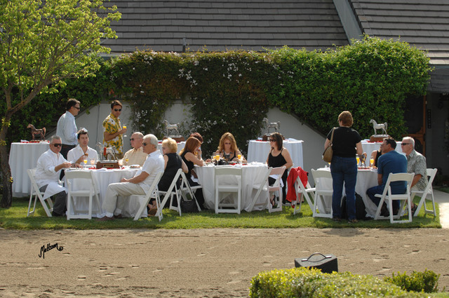 Santa Ynez Valley Arabian Breeders Celebration