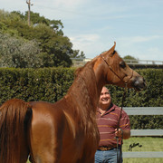 Santa Ynez Valley Arabian Breeders Celebration