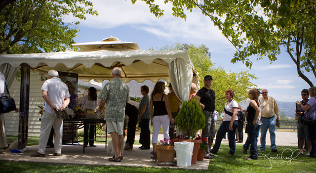 Santa Ynez Valley Arabian Breeders Celebration