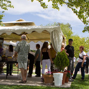 Santa Ynez Valley Arabian Breeders Celebration