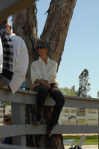 Santa Ynez Valley Arabian Breeders Celebration