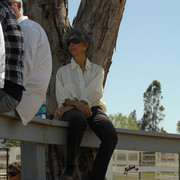 Santa Ynez Valley Arabian Breeders Celebration