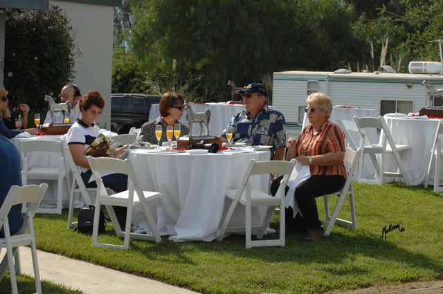 Santa Ynez Valley Arabian Breeders Celebration