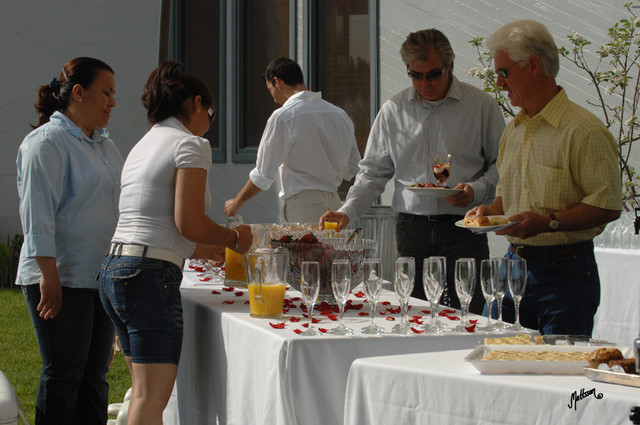 Santa Ynez Valley Arabian Breeders Celebration