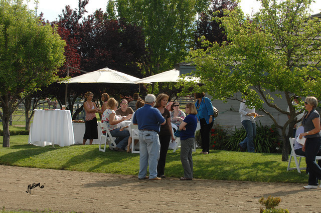 Santa Ynez Valley Arabian Breeders Celebration
