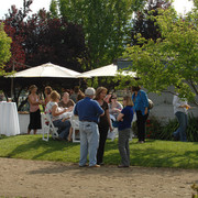 Santa Ynez Valley Arabian Breeders Celebration