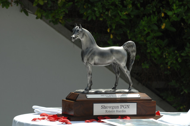 Santa Ynez Valley Arabian Breeders Celebration