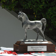 Santa Ynez Valley Arabian Breeders Celebration