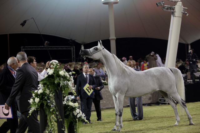 Ajman Show 2010 (Day 1)