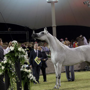 Ajman Show 2010 (Day 1)
