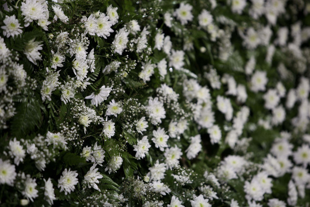 Ajman Show 2010 (Day 1)