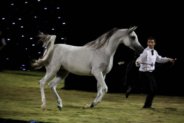 Ajman Show 2010 (Day 1)