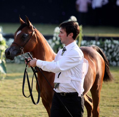 Ajman Show 2010 (Day 1)