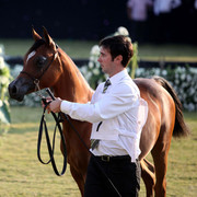 Ajman Show 2010 (Day 1)
