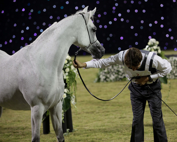 Ajman Show 2010 (Day 1)