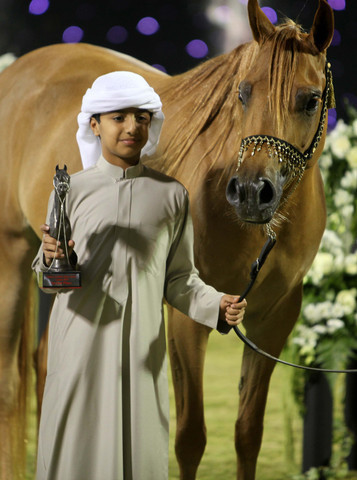 Ajman Show 2010 (Day 1)