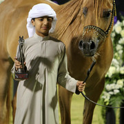 Ajman Show 2010 (Day 1)