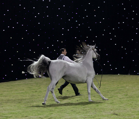 Ajman Show 2010 (Day 1)