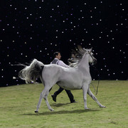 Ajman Show 2010 (Day 1)