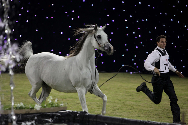 Ajman Show 2010 (Day 1)