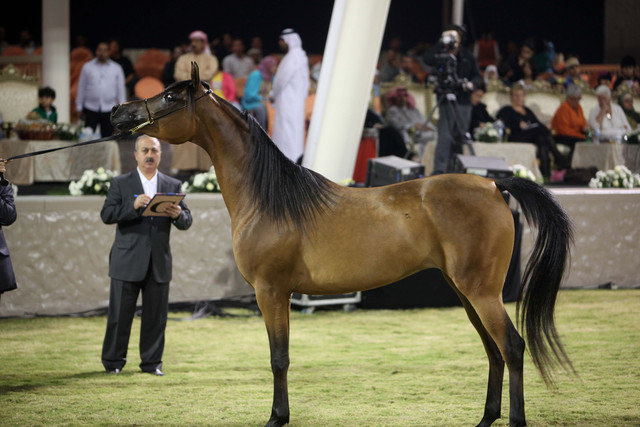 Ajman Show 2010 (Day 1)