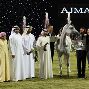 Ajman Show 2010 (Day 1)