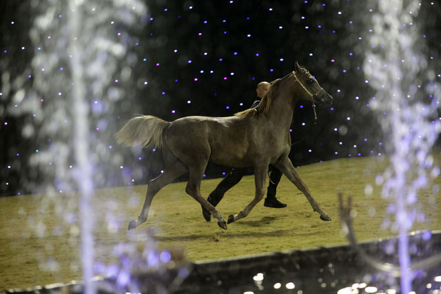 Ajman Show 2010 (Day 1)