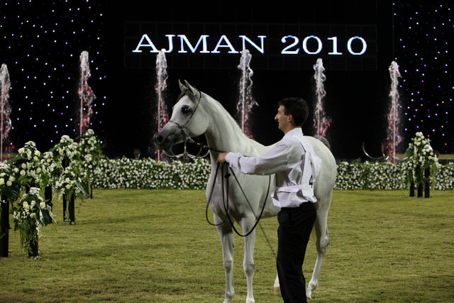 Ajman Show 2010 (Day 1)