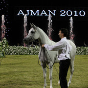 Ajman Show 2010 (Day 1)
