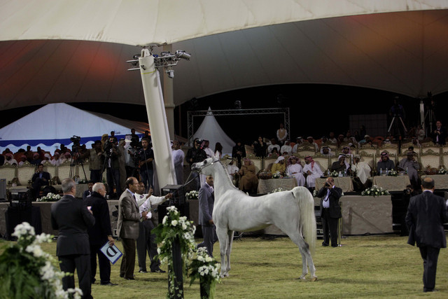 Ajman Show 2010 (Day 1)