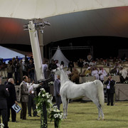Ajman Show 2010 (Day 1)
