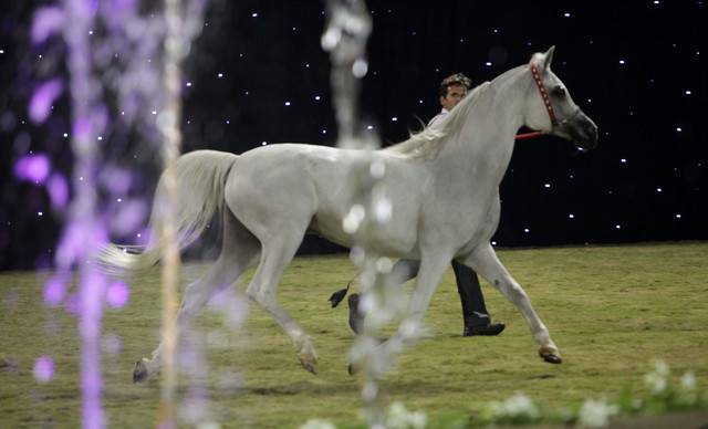 Ajman Show 2010 (Day 1)