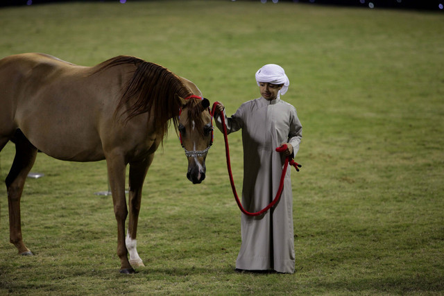 Ajman Show 2010 (Day 1)