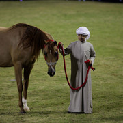 Ajman Show 2010 (Day 1)