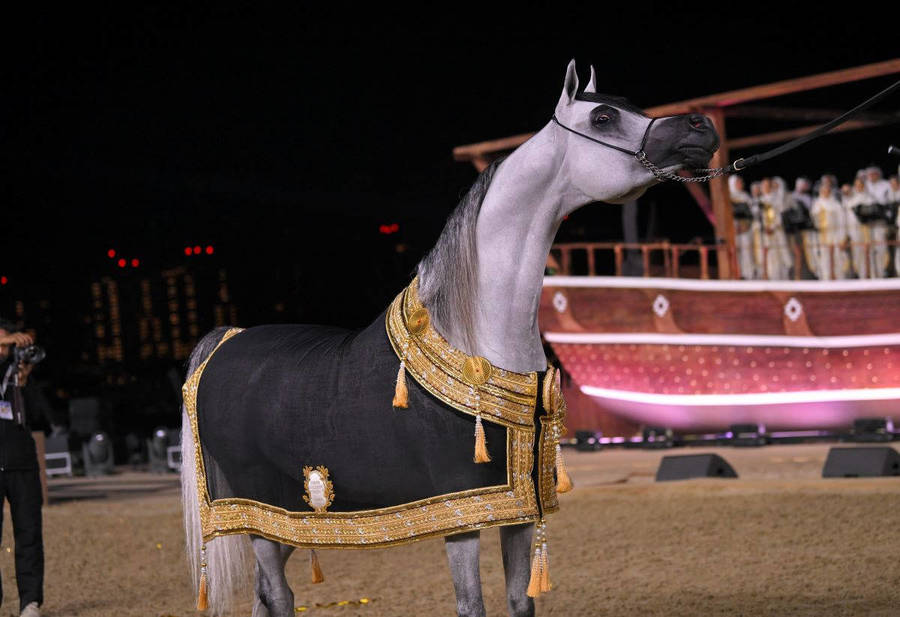 Doha raises the bar with a show stopping championship