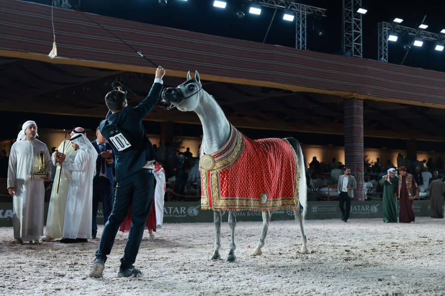 Muscat Reshapes the Female Overall Ranking