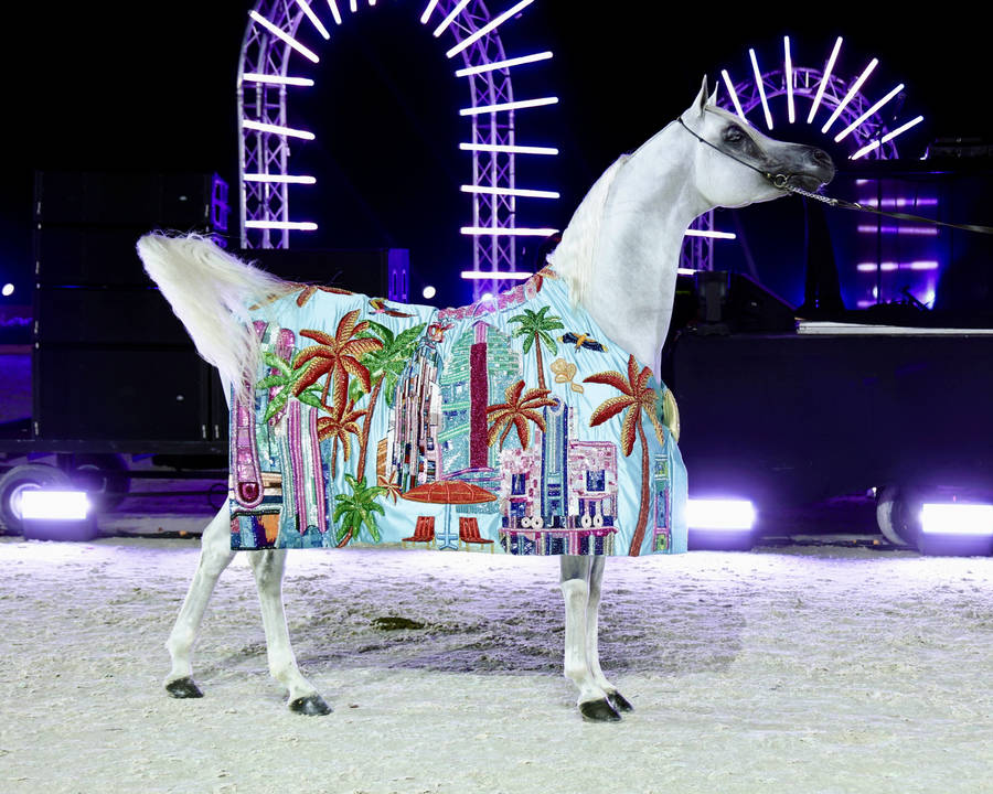 Miami Beach Wraps an Unforgettable Weekend !