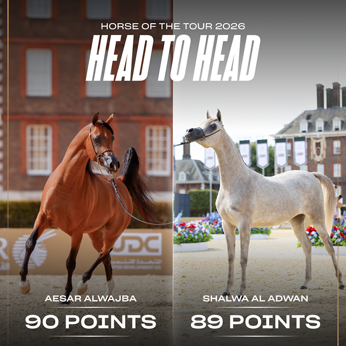 Aachen Set to Decide the Horse of the Tour Title