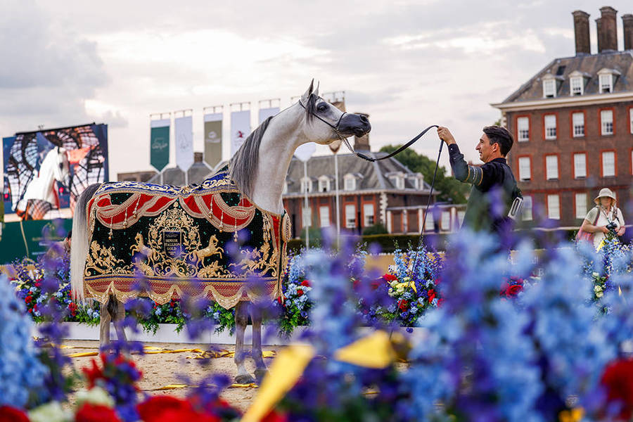 A Memorable Edition of GCAT London