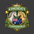 kingsgate connemaras