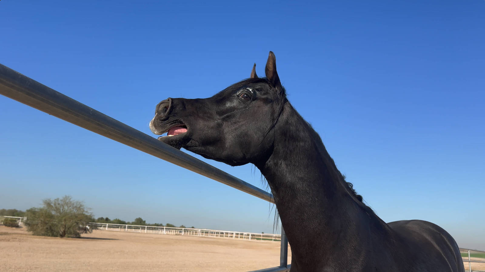 Age 3 - cell phone photo