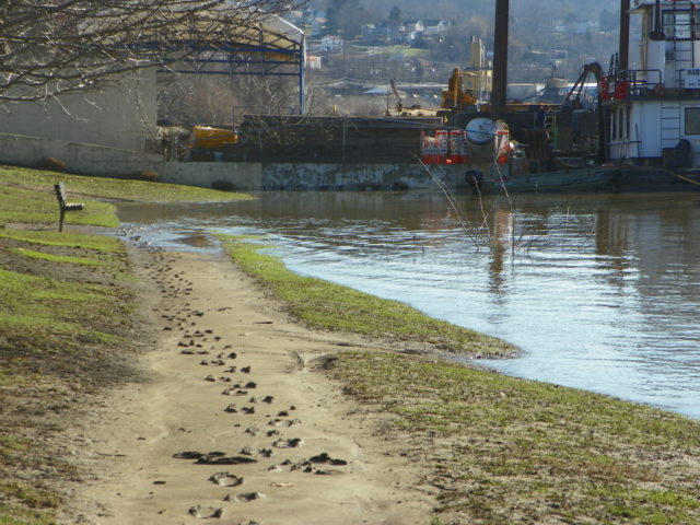 The Beaver River Is Rising: What Does It Mean? - Beaver County Radio