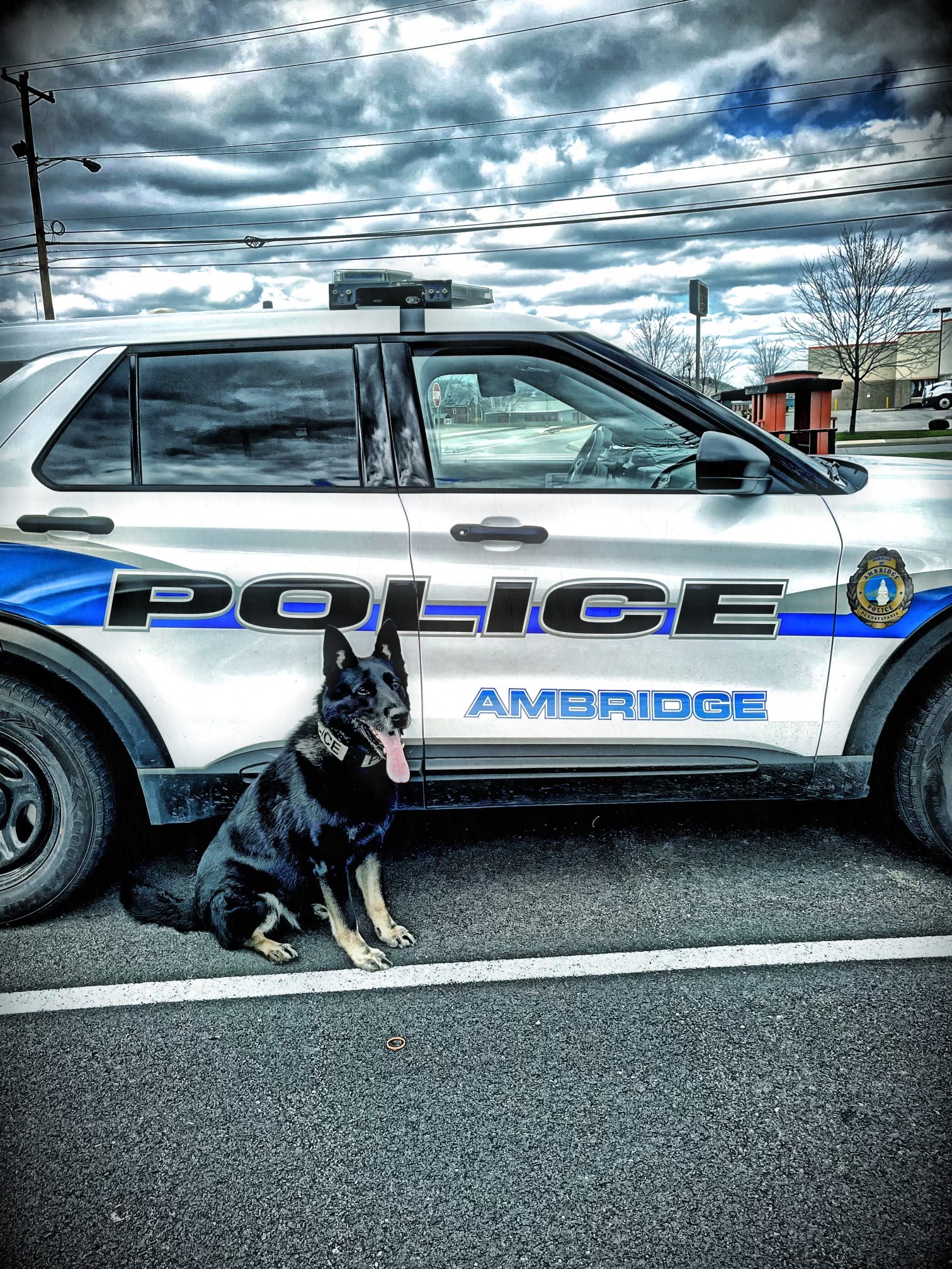 Ambridge New K9 Officer, Ryker, is on the Job Beaver County Radio